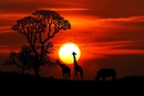 Bild für Kategorie Afrika / Naher Osten / AsienOsten/Asien