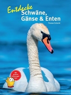 Bild von Schmidt, Thomas: Entdecke Schwäne, Gänse & Enten