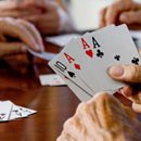 Bild für Kategorie Spiele für Erwachsene